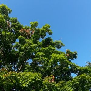 Meet your Posher, Rita m